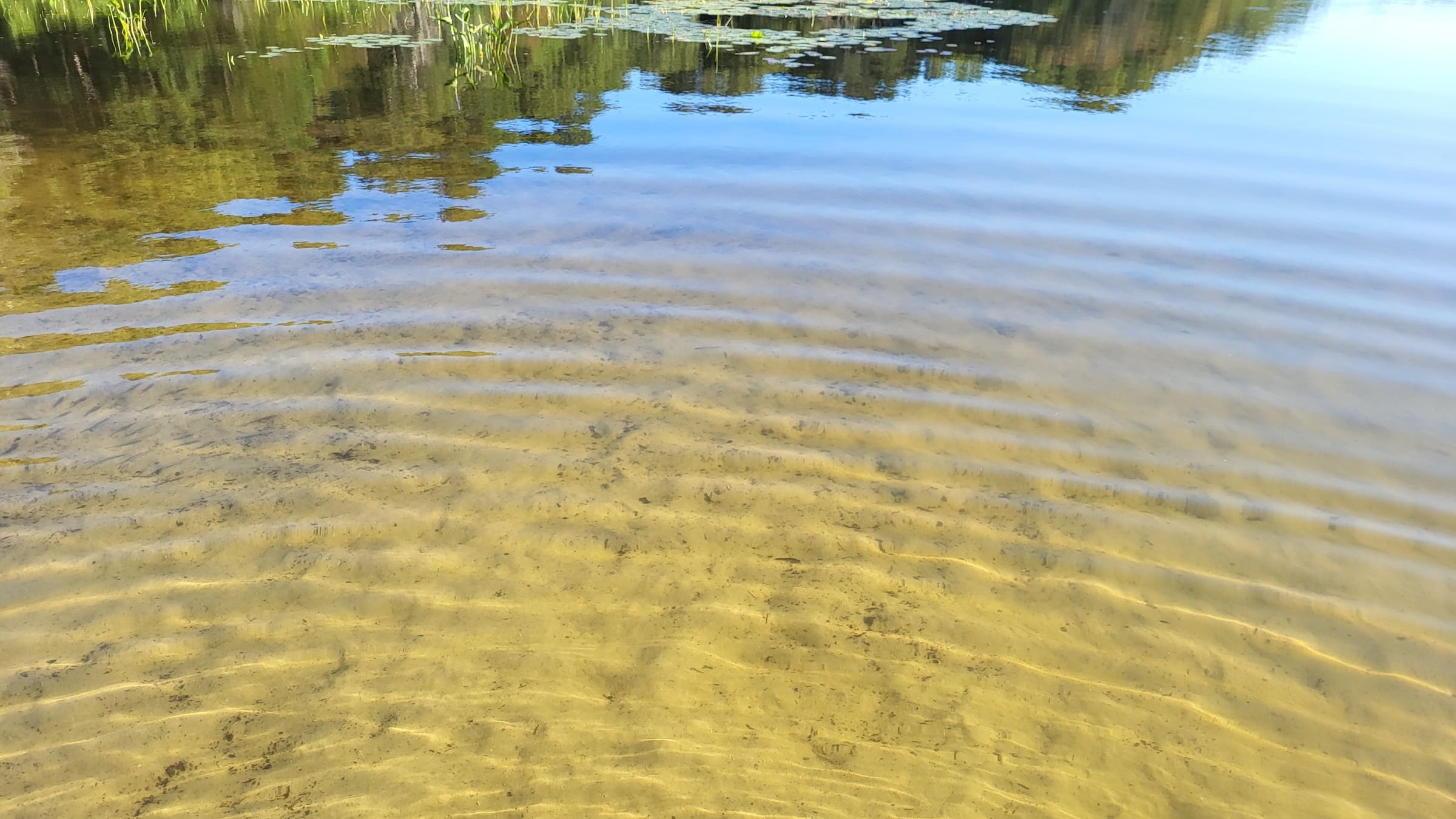 Rippling pond. Blue water over yellow sand.