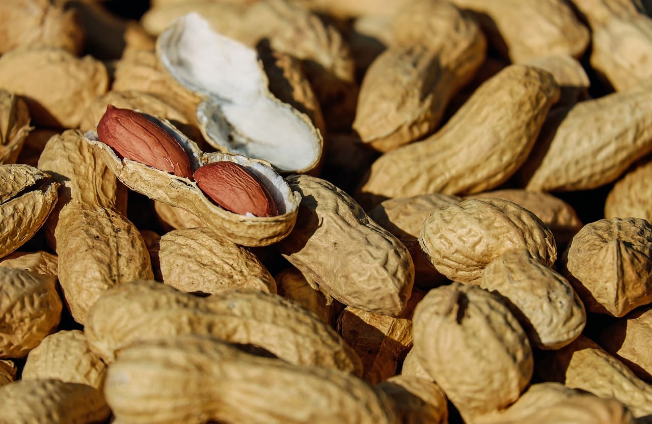 peanuts in the shell. one is open, exposing two nuts inside with the brown papery skin still on.