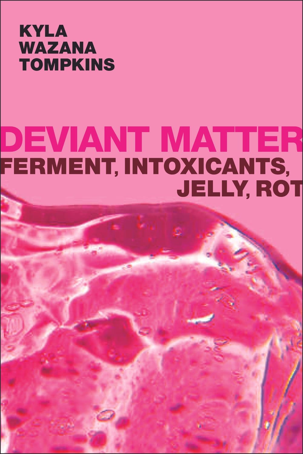 moist pink blob on the cover of Kyla Wazana Tompkins's book, Deviant Matter